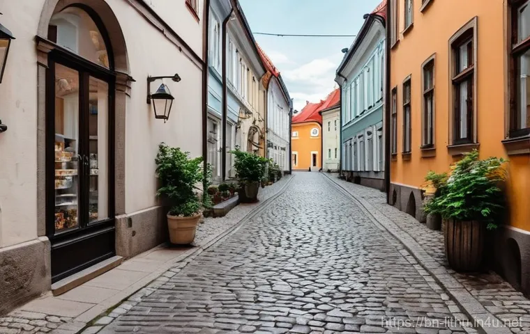 빌뉴스 올드타운 역사 - **A charming, sun-drenched, narrow cobblestone alley in Vilnius Old Town.** Historic buildings with ...